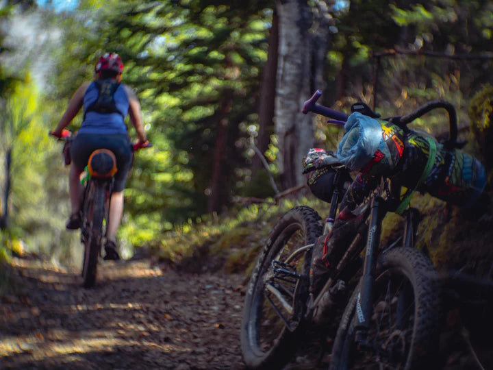 WREN PERSEVERANCE ADVENTURE FLATBAR