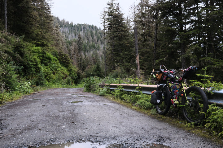 WREN PERSEVERANCE ADVENTURE DROPBAR