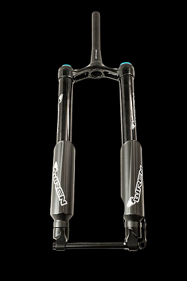 Fork fat bike sale
